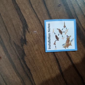 Toy Joy Oyuncağın Parçaları Resimdekiyle Aynı Değil