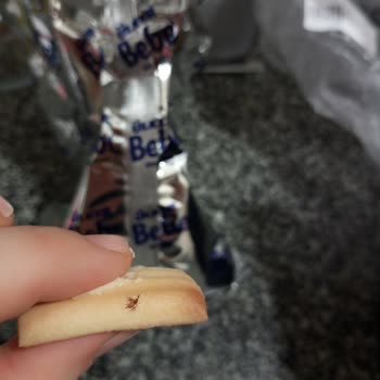 Ülker Bebe Bisküvisinden Çıkanlar