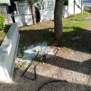 İBB - İstanbul Büyükşehir Belediyesi  Mezarlık Sorunu