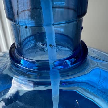 Abant Su Abant Damacana İçinde Kir