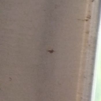 Siemens Buzdolabı Paslanma Sorunu