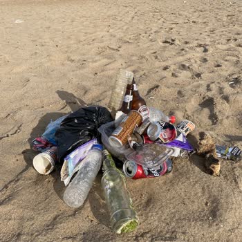 Serik Belediyesi Belek Ve Kadriye Halk Plajı Hijyen Sorunu