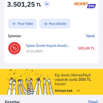 MoneyPay Mağduriyet El Koyma