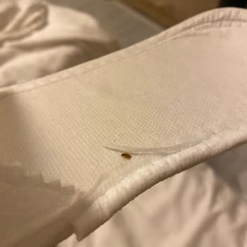 Asia City Hotel Böcek Dolu Otel