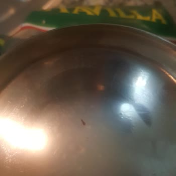 Pastavilla Pasta Villa Rutini Makarnasından Böcek Çıktı