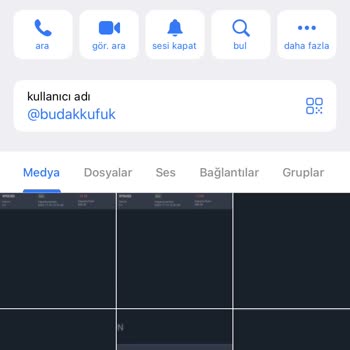 Regal Global Market Yatırım İşlemleri Ve Bakiye Talepleri Hakkında Şikayet