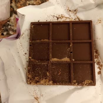 Koska Mahir Gıda Böcek Çıkan Çikolata