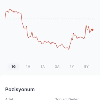 Midas Ortalama Maliyet Yanlışlığı