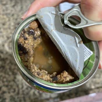 Farmina Nd Bozuk Yaş Mama