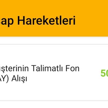 VakıfBank Yatırım Tefas Fon Alış İşlem Valor Hatası