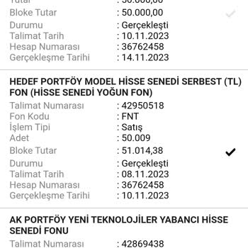 VakıfBank Yatırım Tefas Fon Alış İşlem Valor Hatası