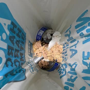 Dardanel Bozuk Ton Balığı