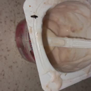 Danone Tikveşli BİM 2Lİ Dost Meyveli Yoğurt Ve Böcek