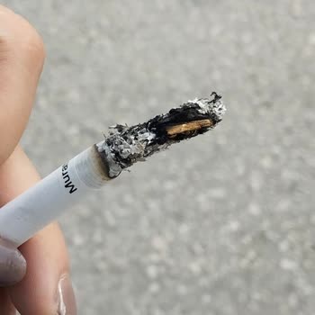 Murattı Rossa Dan Çıkan Dallar