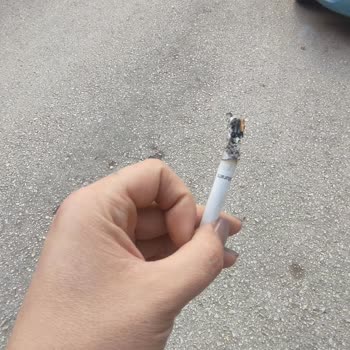 Murattı Rossa Dan Çıkan Dallar