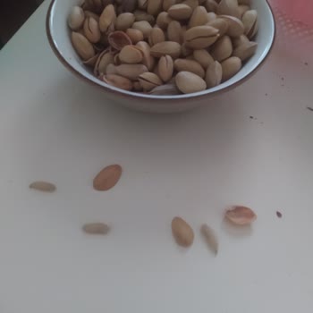 Tatbak Gıda Maltepe Şubesinde Kurtlu Kuruyemiş Hayal Kırıklığı