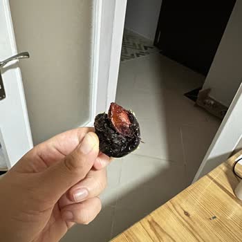 Peyman Kuru Erik Çekirdek Çıkması