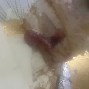 Mado Ekşimiş Meyveli Pasta