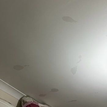 BG Gayrimenkul Mağduriyeti!