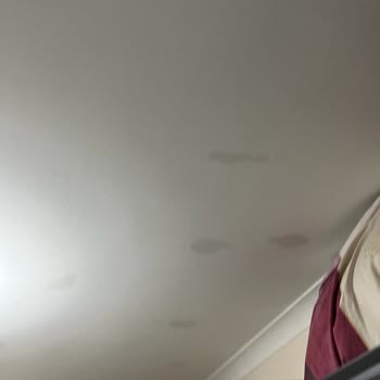 BG Gayrimenkul Mağduriyeti!