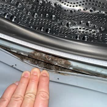 Profilo Çamaşır Makinem Çamur Dolu!