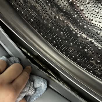 Profilo Çamaşır Makinem Çamur Dolu!