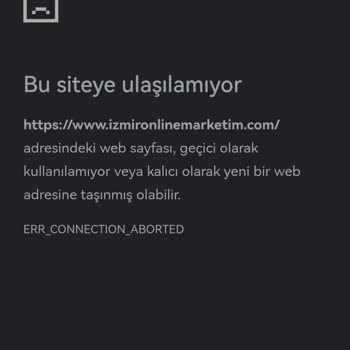 Wix.com'da Kayıtlı Web Siteme Ulaşamıyorum