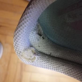 Skechers Kalitesiz Ürün Hayal Kırıklığı Yarattı