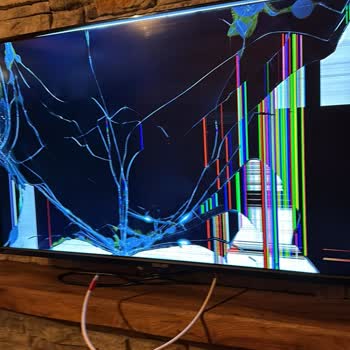 Sapanca Kırsal Silence Bakımsızlık Hijyenik Olmama