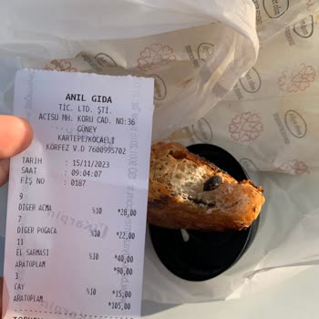 Aslı Börek Diş Dolgumu Kıran Zeytin Çekirdeği
