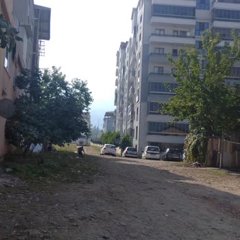 Bursa Yıldırım Belediyesi Asfalt Veya Taş Döşenmesi