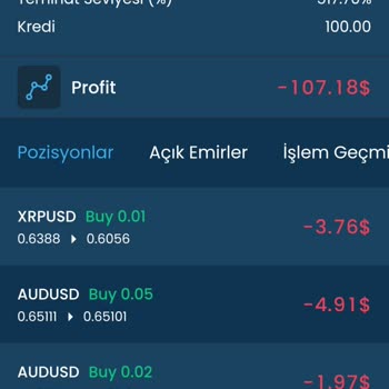 Rota Capital Yatırım Kazancımı Alamıyorum