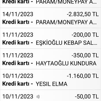 Enpara Malın Değeri 4899 TL Olarak Görüyorum Benden Üç Defa 2832 TL Çekti