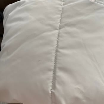 Defolu Ve Lekeli Mont Stradivarius