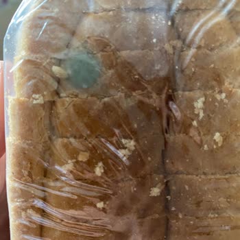 A101 Tarihi Geçmemiş Küflü Ekmeğimi İade Almadı