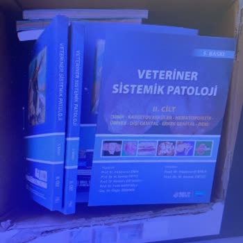 MNG Kargo Sorumsuzluğu Ve Çözüm Olmuyor