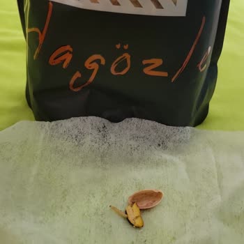 Pazarama Ücret İadesi Yapmadı