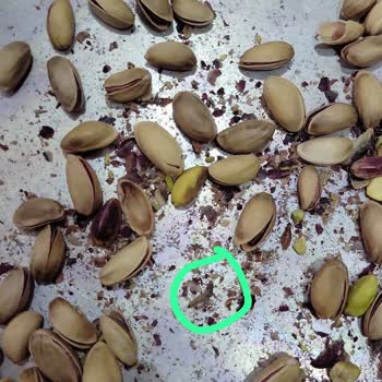 Pazarama Ücret İadesi Yapmadı