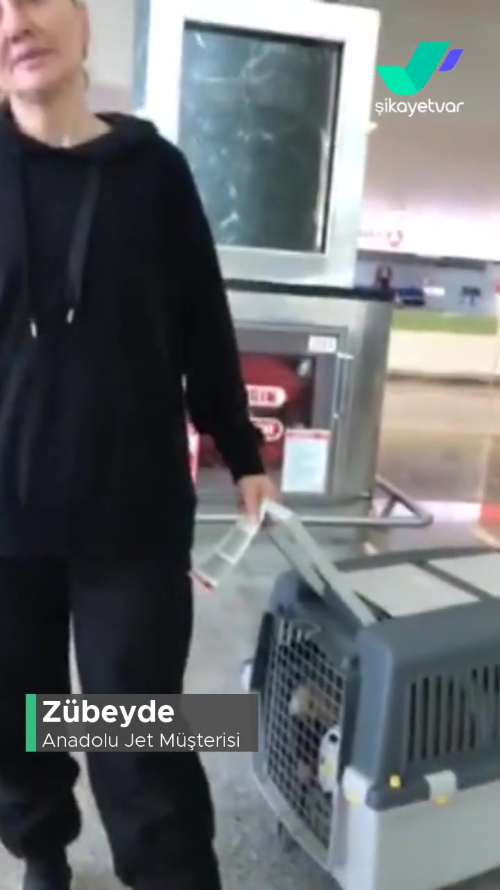 Anadolu Jet Pet Taşıma Sorunu videonun kapak resmi