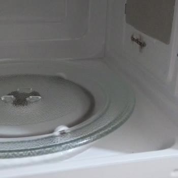 Vestel Mikrodalga Ayıplı Ürün