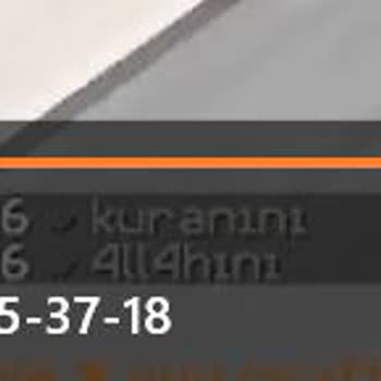Craftrise Oyunundaki Saygısız Davranışlar