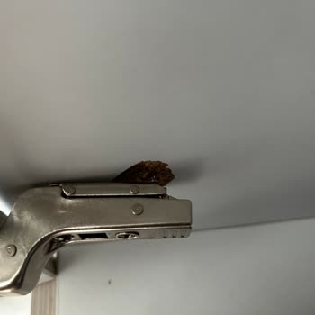 Çilek Mobilya Menteş Oda Takımı Pişmanlığı