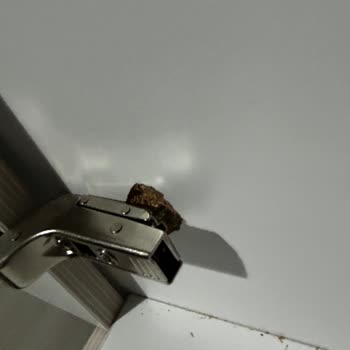 Çilek Mobilya Menteş Oda Takımı Pişmanlığı