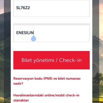 Türk Hava Yolları (THY) Problemleri Uçağı Kaçırmama Neden Oldu