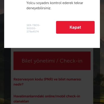 Türk Hava Yolları (THY) Problemleri Uçağı Kaçırmama Neden Oldu