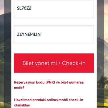 Türk Hava Yolları (THY) Problemleri Uçağı Kaçırmama Neden Oldu