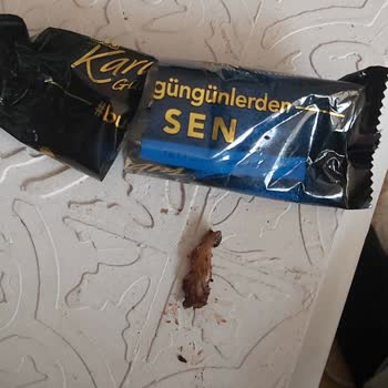Eti Karam Gurme'de Beklenmedik Sürpriz!