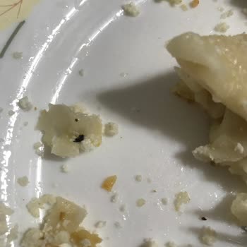 Ekin Börek İçinden Böcek Çıktı