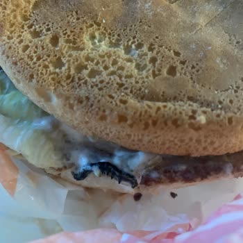 Markantalya AVM Hamburgerin İçinden Böcek Çıktı