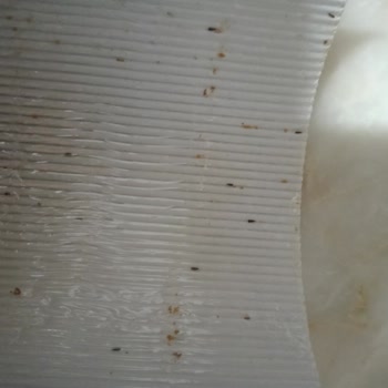 Ülker Paketin İçinden Canlı Böcekler Çıkması